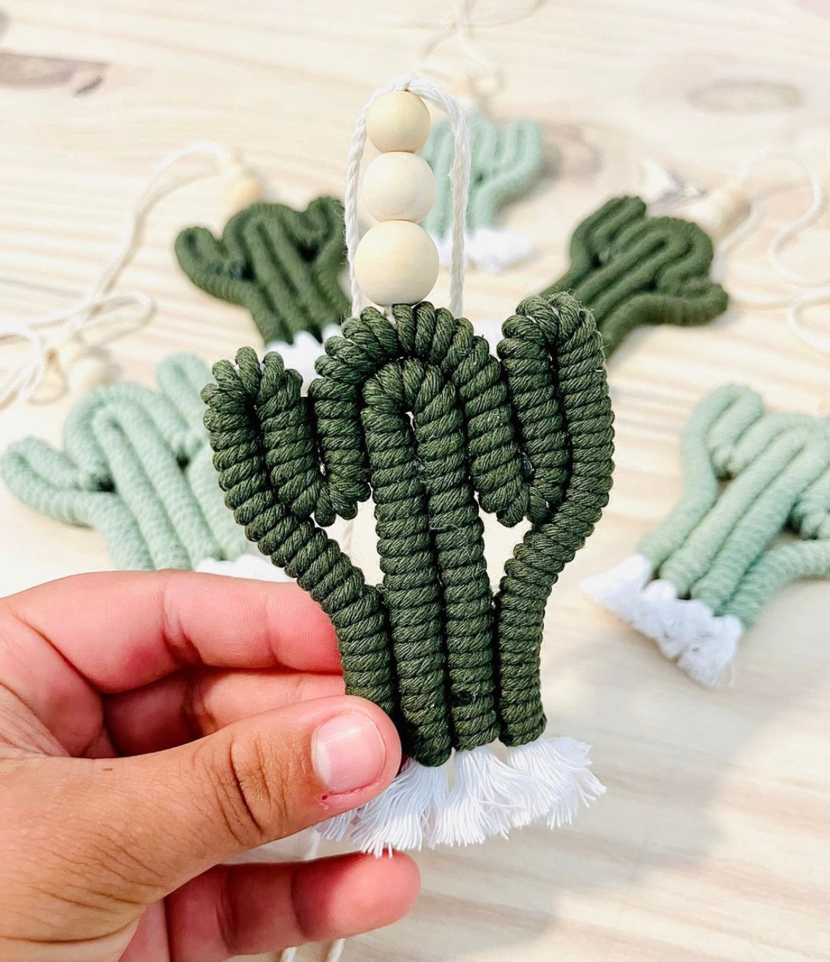 Cactus Car Charm