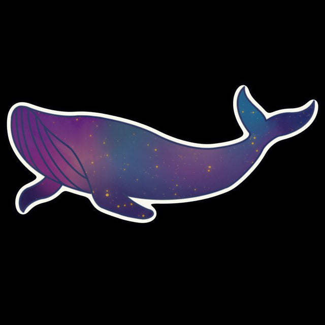 Galaxy Whale