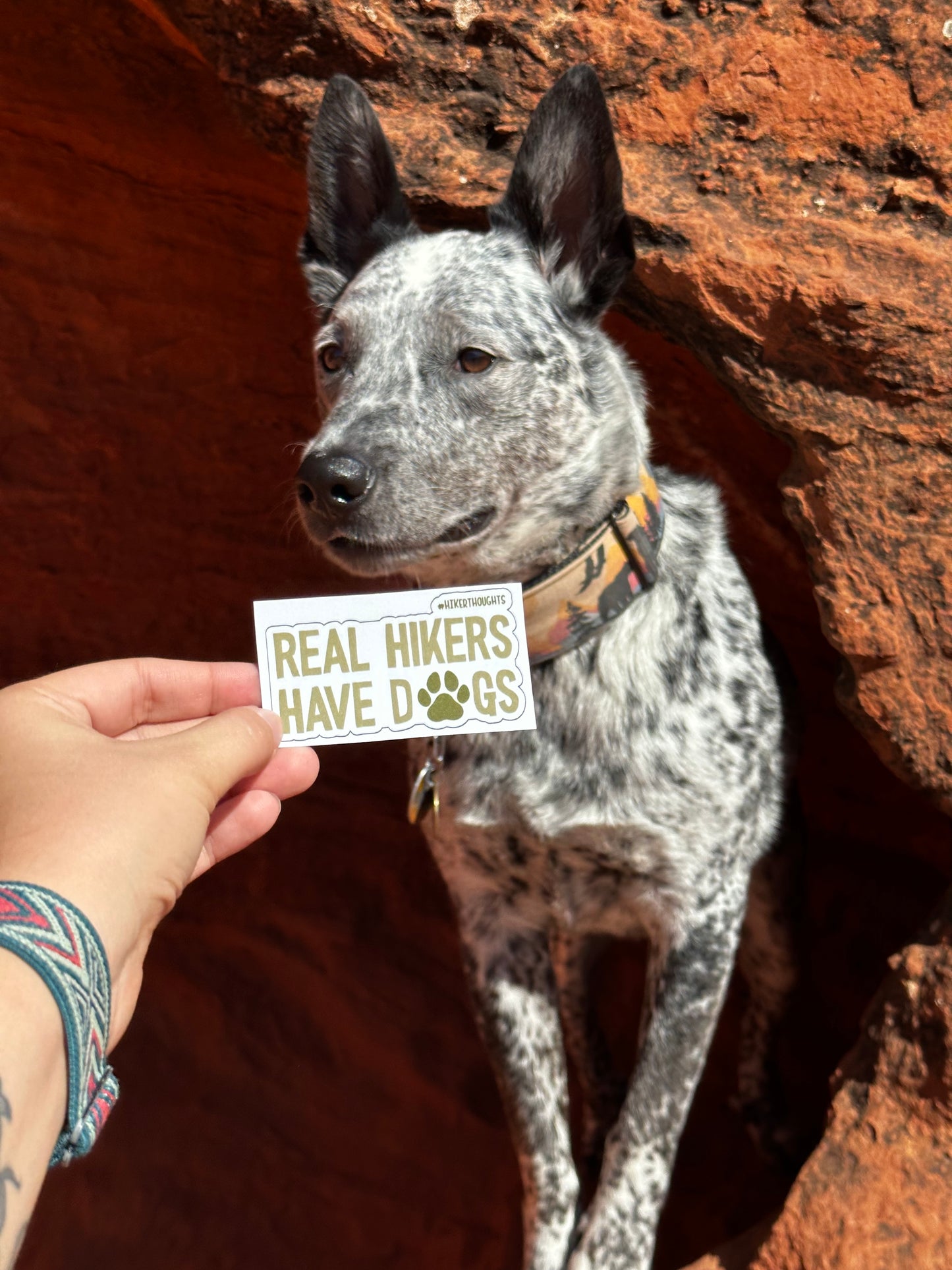 Real Hikers Have Dogs Sticker