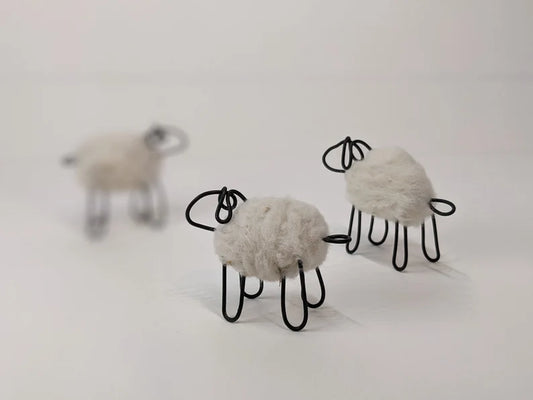 White Sheep